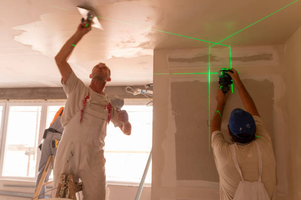 Best Ceiling Drywall Installation  in South Pekin, IL